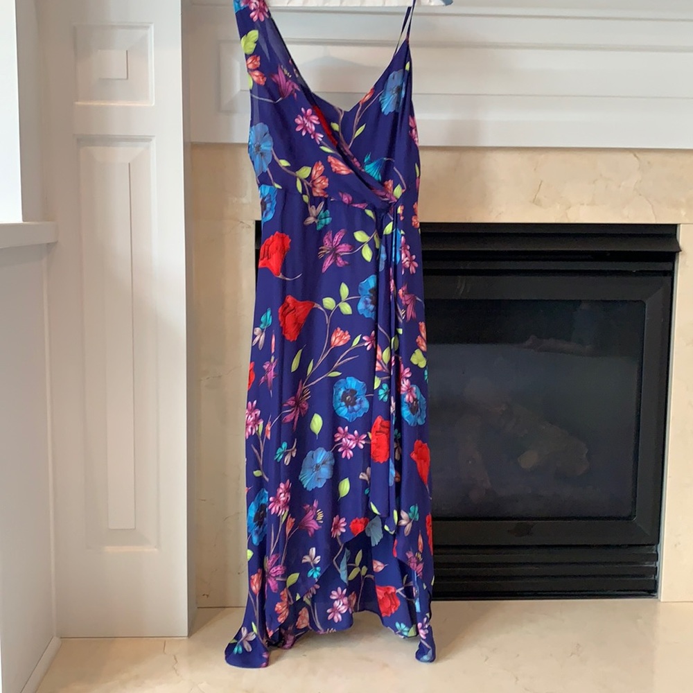 Parker Dress Size 2
